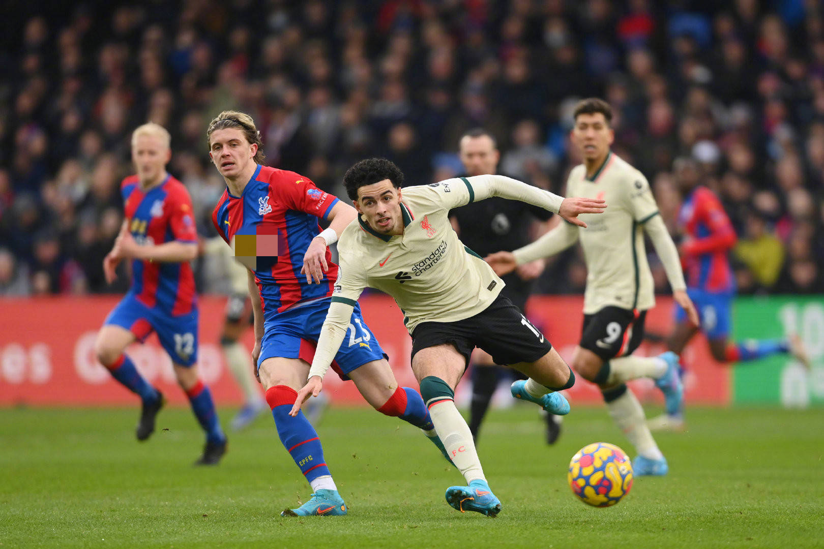 使得澳大利 使得澳大利